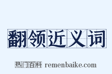 翻领近义词是什么意思的图片